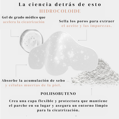 Hoygi Parches Nasales 